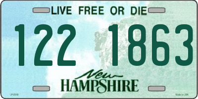 NH license plate 1221863
