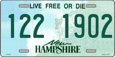NH license plate 1221902