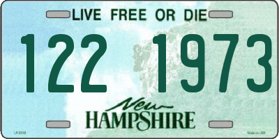 NH license plate 1221973