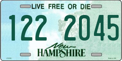 NH license plate 1222045