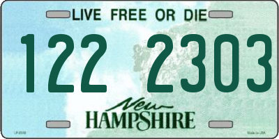 NH license plate 1222303