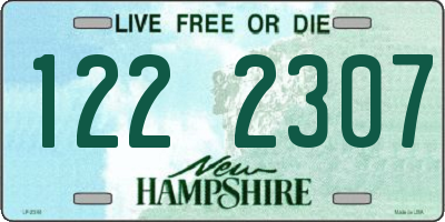 NH license plate 1222307