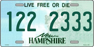 NH license plate 1222333