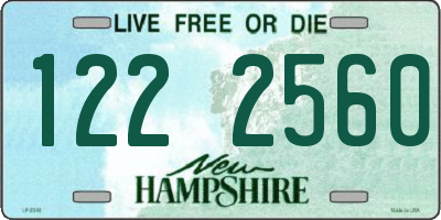 NH license plate 1222560