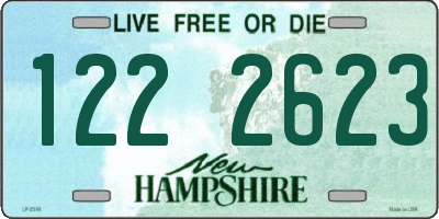 NH license plate 1222623