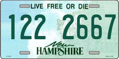 NH license plate 1222667