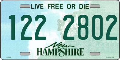 NH license plate 1222802