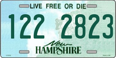 NH license plate 1222823