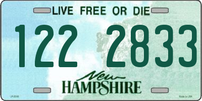 NH license plate 1222833