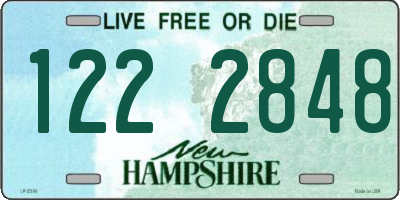 NH license plate 1222848