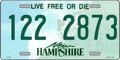 NH license plate 1222873