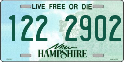 NH license plate 1222902