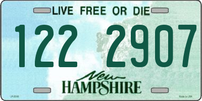 NH license plate 1222907