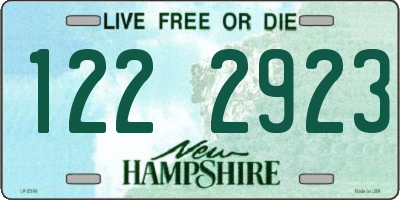 NH license plate 1222923