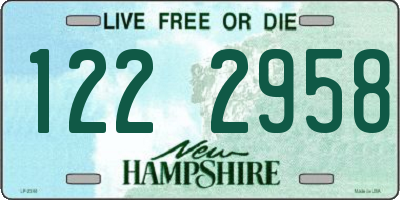 NH license plate 1222958