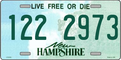 NH license plate 1222973