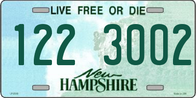 NH license plate 1223002