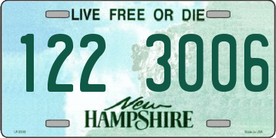 NH license plate 1223006