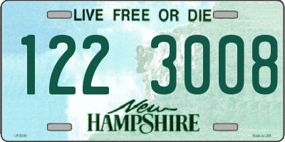 NH license plate 1223008