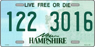 NH license plate 1223016