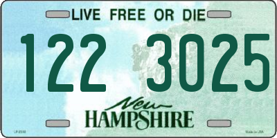 NH license plate 1223025
