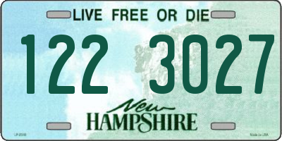 NH license plate 1223027