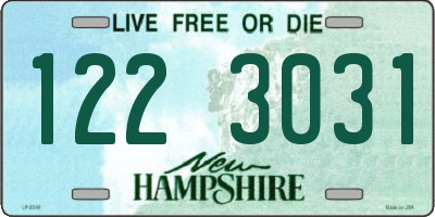 NH license plate 1223031