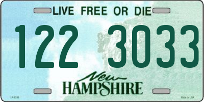 NH license plate 1223033