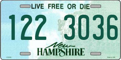 NH license plate 1223036