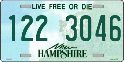 NH license plate 1223046