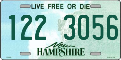 NH license plate 1223056