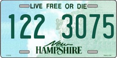 NH license plate 1223075