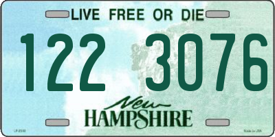 NH license plate 1223076