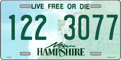NH license plate 1223077