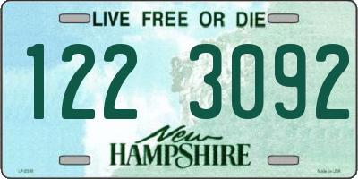 NH license plate 1223092