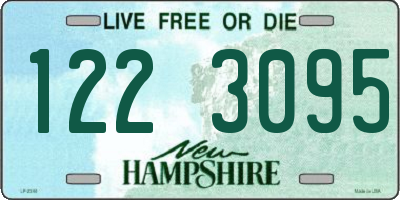 NH license plate 1223095
