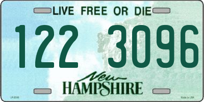 NH license plate 1223096