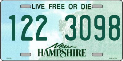 NH license plate 1223098