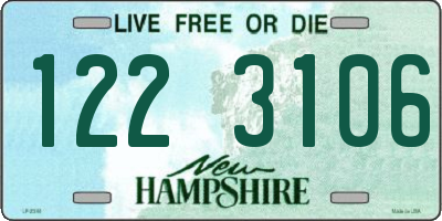 NH license plate 1223106