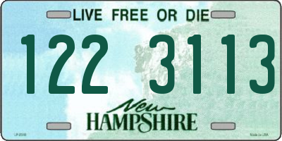 NH license plate 1223113