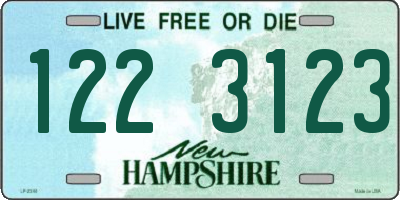 NH license plate 1223123