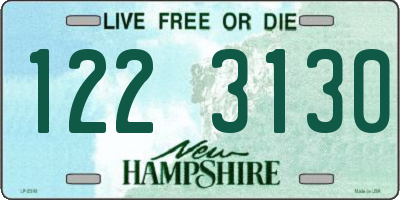 NH license plate 1223130