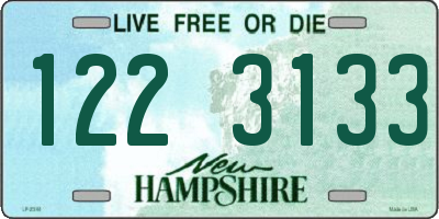 NH license plate 1223133