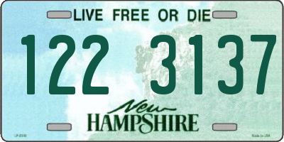 NH license plate 1223137