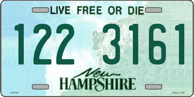 NH license plate 1223161