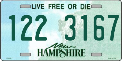 NH license plate 1223167