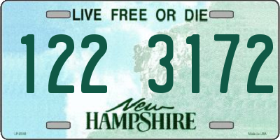 NH license plate 1223172