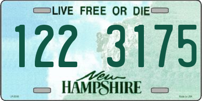 NH license plate 1223175