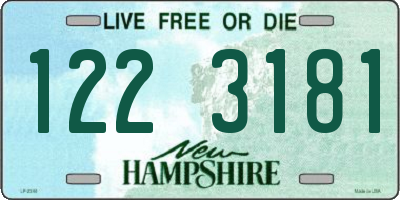 NH license plate 1223181