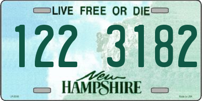 NH license plate 1223182